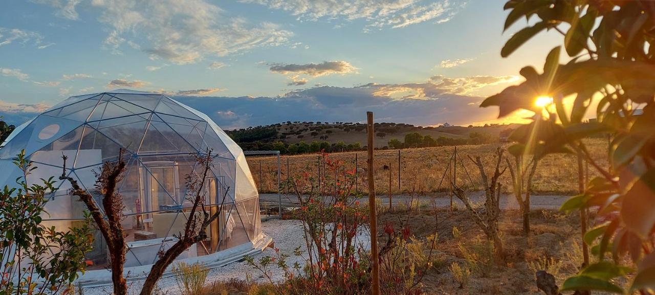Glamping Skies - Adults Only เอสเตรมอซ ภายนอก รูปภาพ
